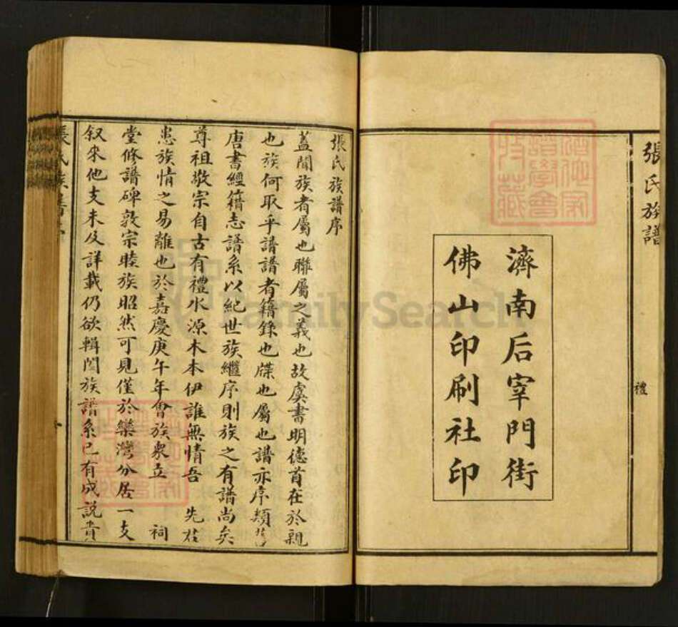 山东省泰安市肥城市张氏族谱-张氏族谱.pdf电子版预览图2