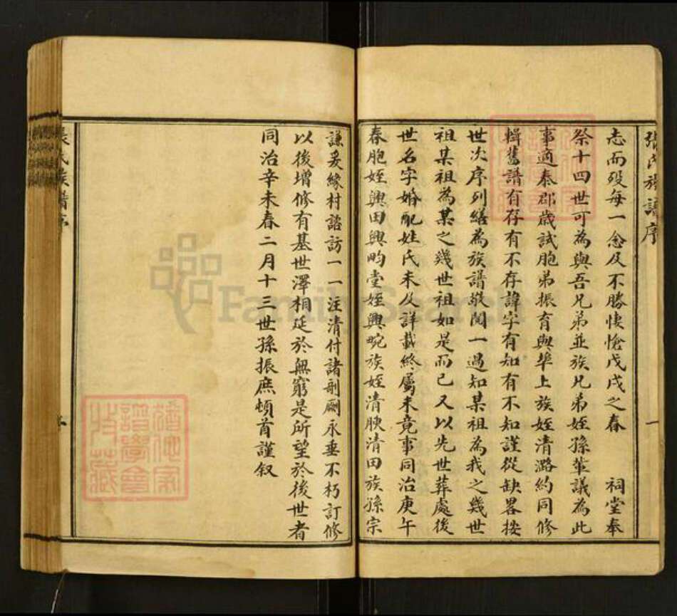 山东省泰安市肥城市张氏族谱-张氏族谱.pdf电子版预览图3