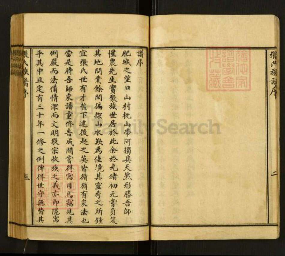 山东省泰安市肥城市张氏族谱-张氏族谱.pdf电子版预览图4