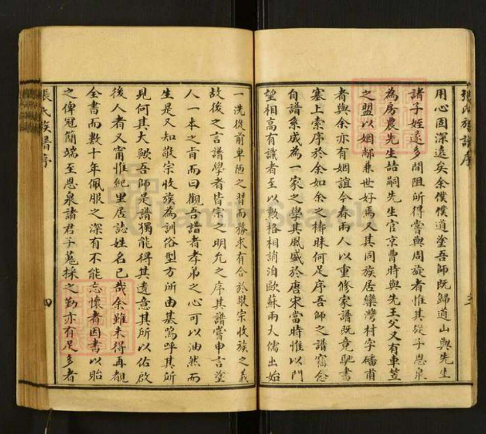 山东省泰安市肥城市张氏族谱-张氏族谱.pdf电子版预览图5