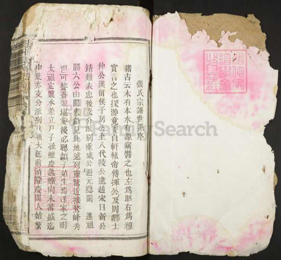 江西省上饶市铅山县鹅湖镇张氏善述堂族谱-后州张氏族谱.pdf电子版预览图1