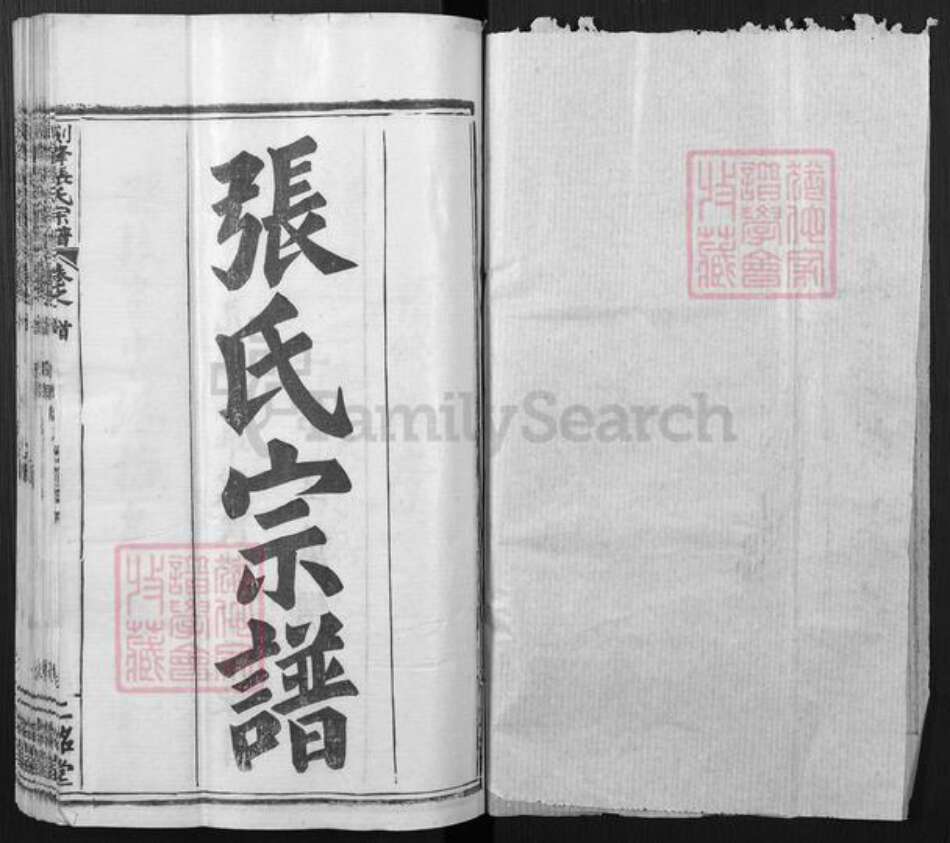 湖北省武汉市新洲区张氏二铭堂族谱-剑锋张氏宗谱.pdf电子版预览图1