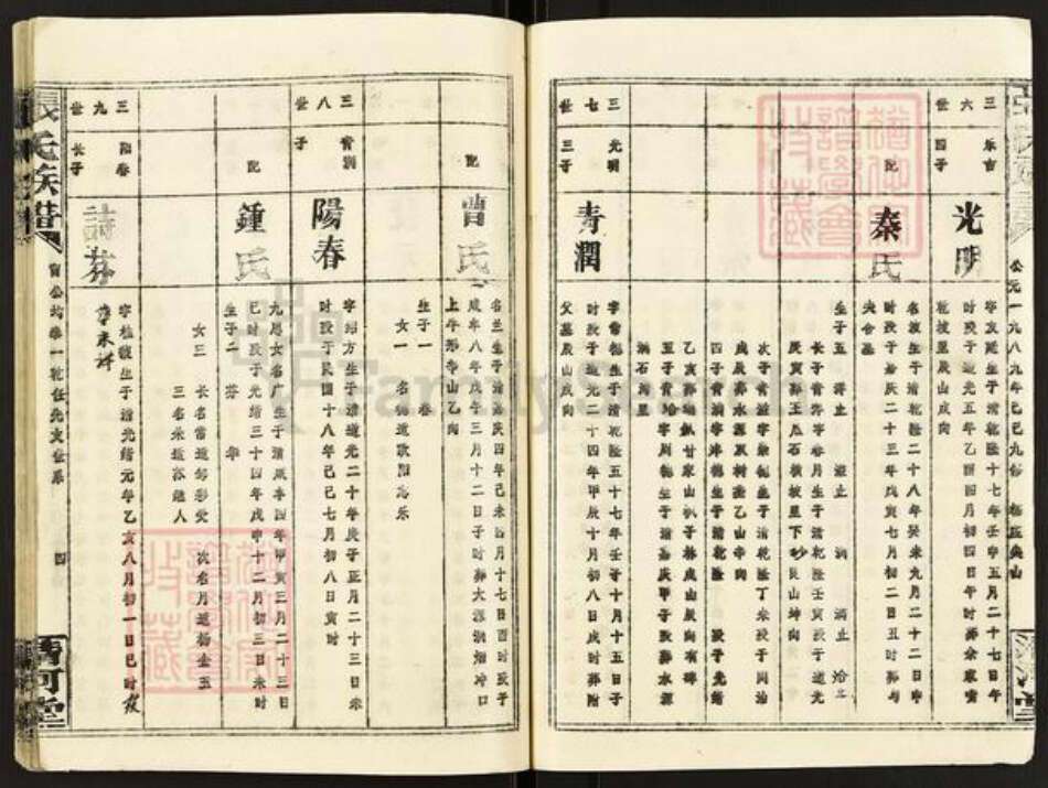 湖南省岳阳市平江县梅仙镇张氏清河堂族谱-张氏族谱.pdf电子版预览图5