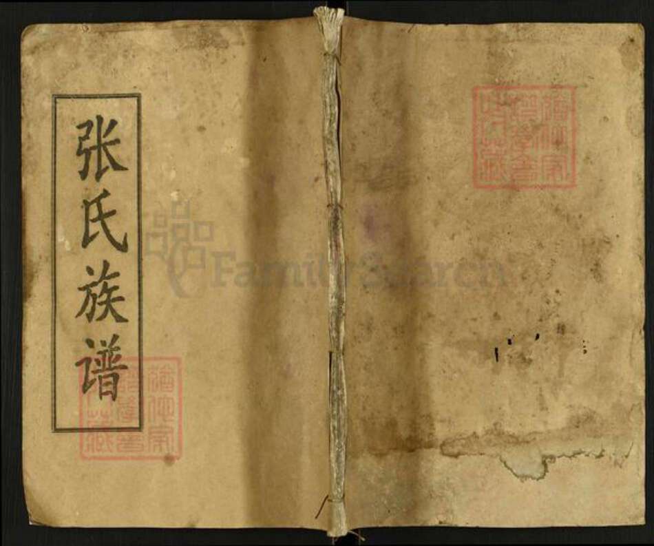 湖南省岳阳市平江县梅仙镇张氏清河堂族谱-张氏族谱.pdf电子版缩略图