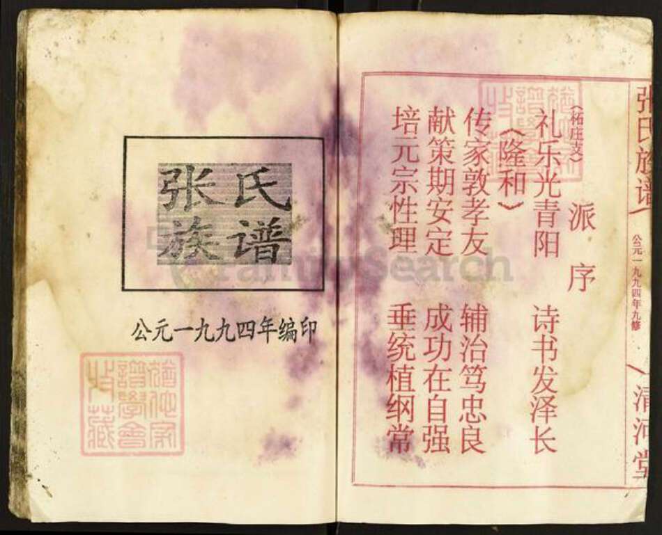 湖南省岳阳市平江县梅仙镇张氏清河堂族谱-张氏族谱.pdf电子版预览图2