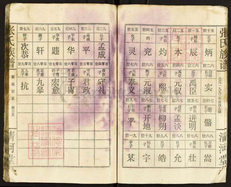 湖南省岳阳市平江县梅仙镇张氏清河堂族谱-张氏族谱.pdf电子版预览图5