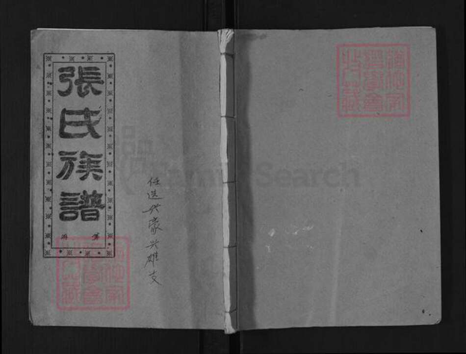 湖南省岳阳市平江县梅仙镇张氏清河堂族谱-张氏族谱.pdf电子版缩略图