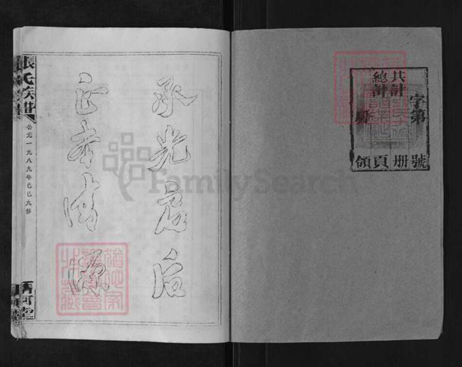 湖南省岳阳市平江县梅仙镇张氏清河堂族谱-张氏族谱.pdf电子版预览图1