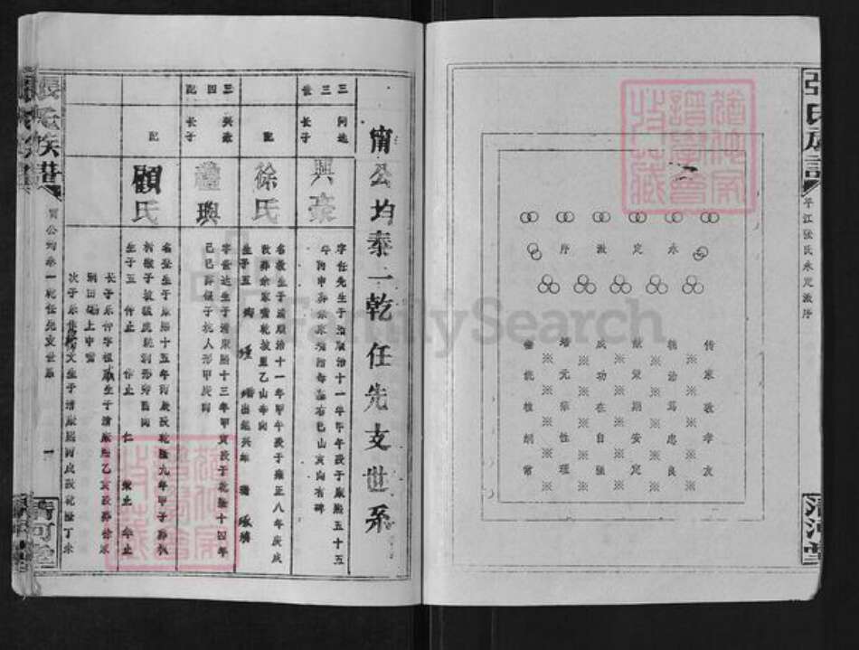 湖南省岳阳市平江县梅仙镇张氏清河堂族谱-张氏族谱.pdf电子版预览图2