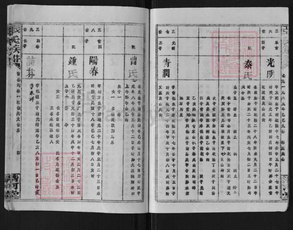 湖南省岳阳市平江县梅仙镇张氏清河堂族谱-张氏族谱.pdf电子版预览图5