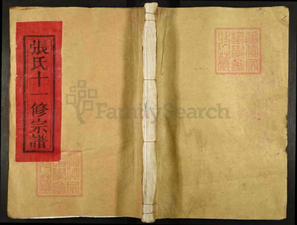 江西省抚州市临川区张氏族谱-眉溪张氏大宗谱.pdf电子版缩略图