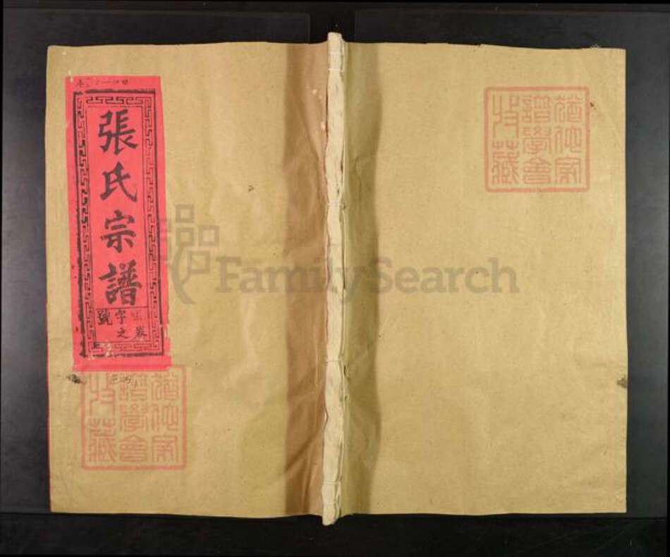 江西省上饶市上饶县张氏族谱-清河张氏宗谱.pdf电子版缩略图