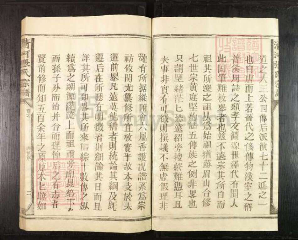 江西省上饶市上饶县张氏族谱-清河张氏宗谱.pdf电子版预览图3