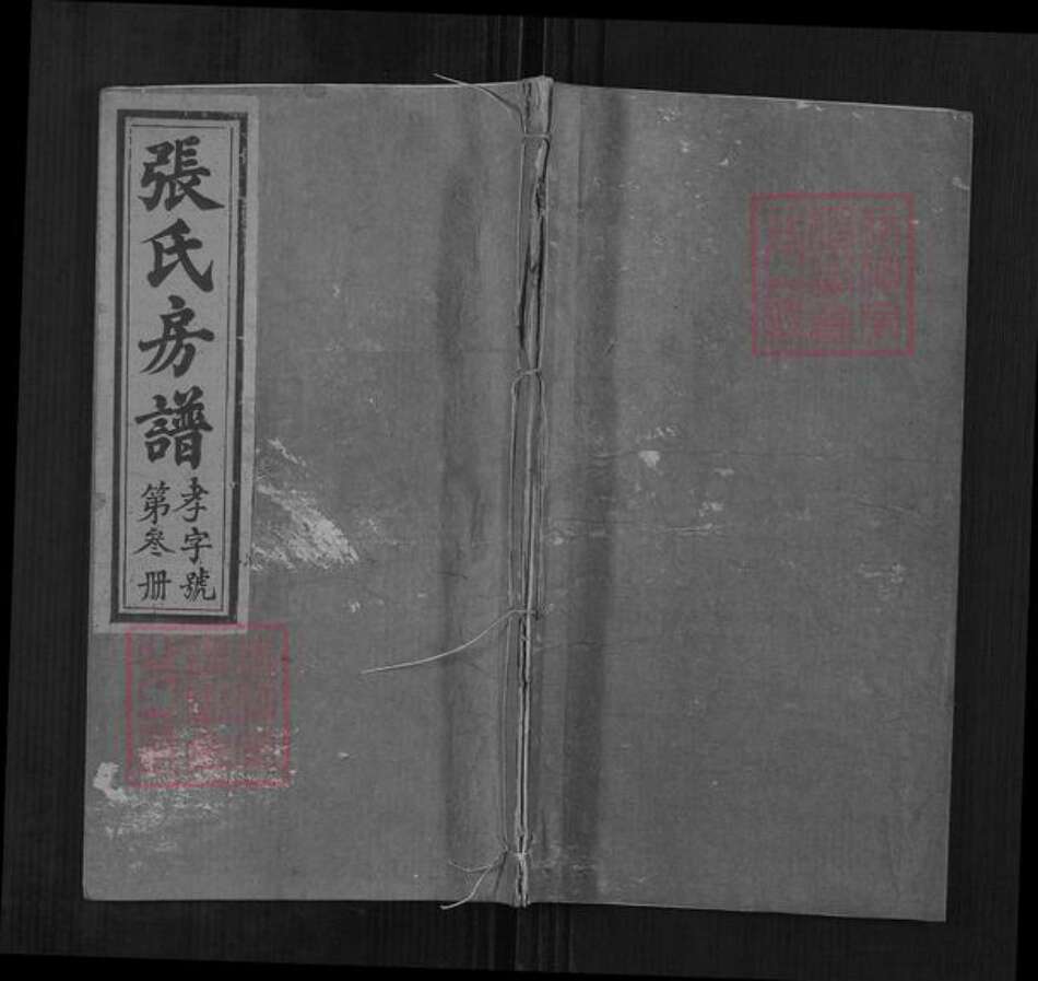 福建省福州市闽侯县张氏族谱-张氏房谱.pdf电子版缩略图