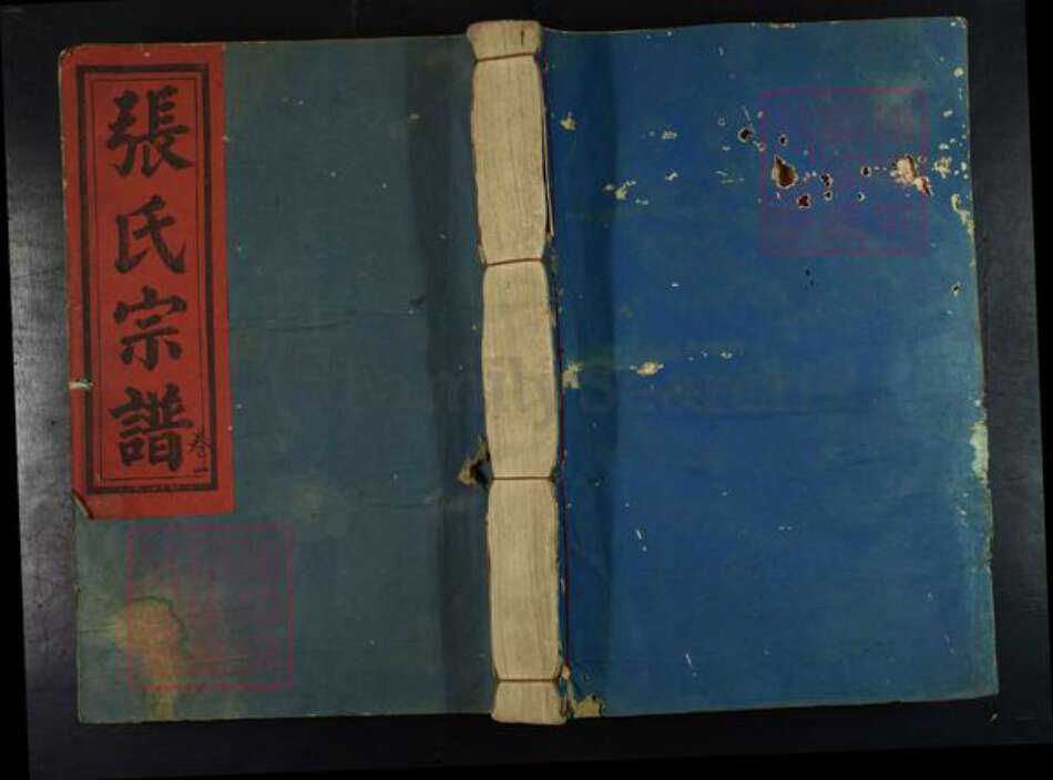 江西省九江市修水县江西省九江市修水县义宁镇张氏孝友堂族谱-张氏宗谱.pdf电子版缩略图