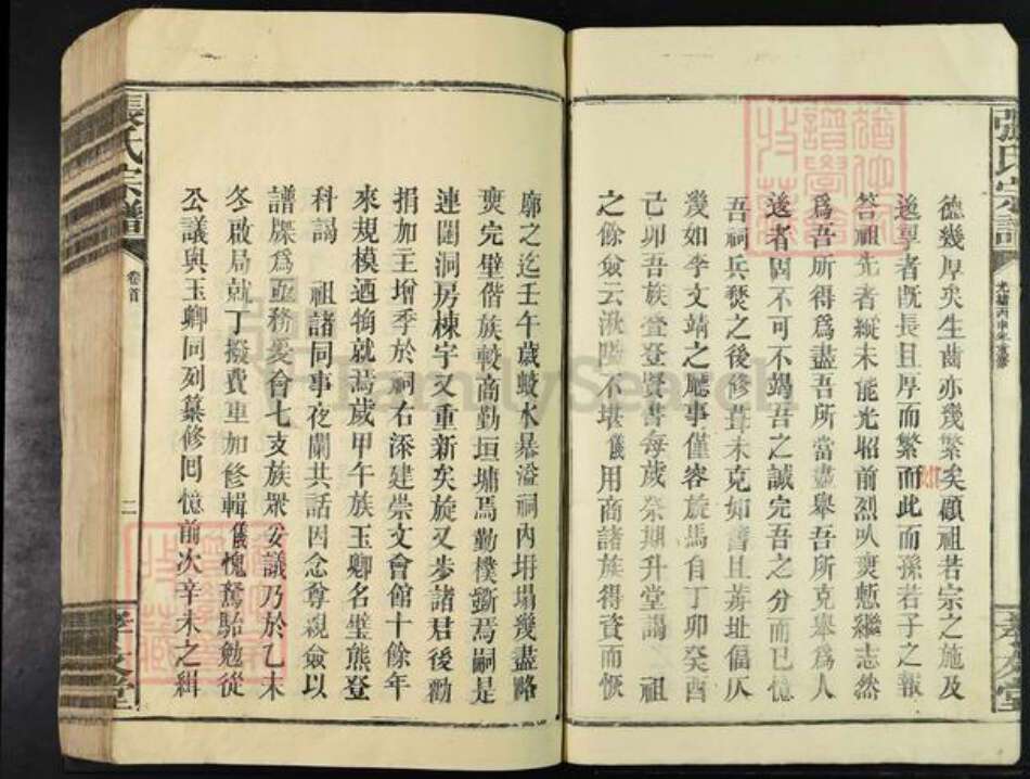 江西省九江市修水县江西省九江市修水县义宁镇张氏孝友堂族谱-张氏宗谱.pdf电子版预览图5