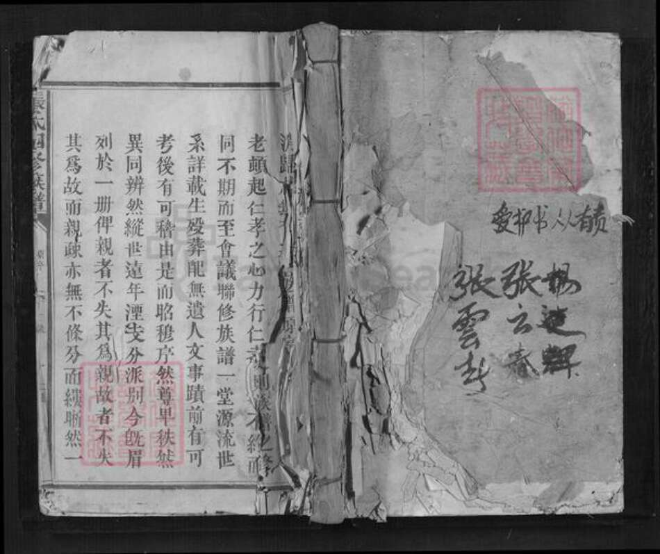 江西省抚州市南丰县江西省赣州市兴国县鼎龙乡张氏族谱-张氏四修族谱.pdf电子版缩略图