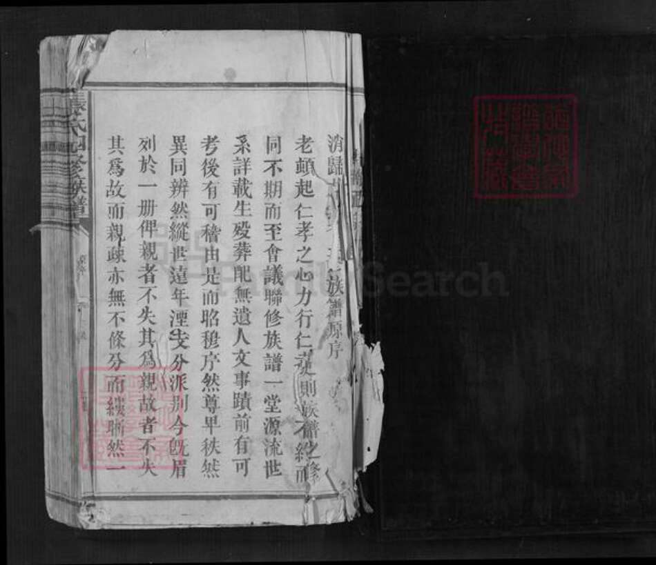 江西省抚州市南丰县江西省赣州市兴国县鼎龙乡张氏族谱-张氏四修族谱.pdf电子版预览图1