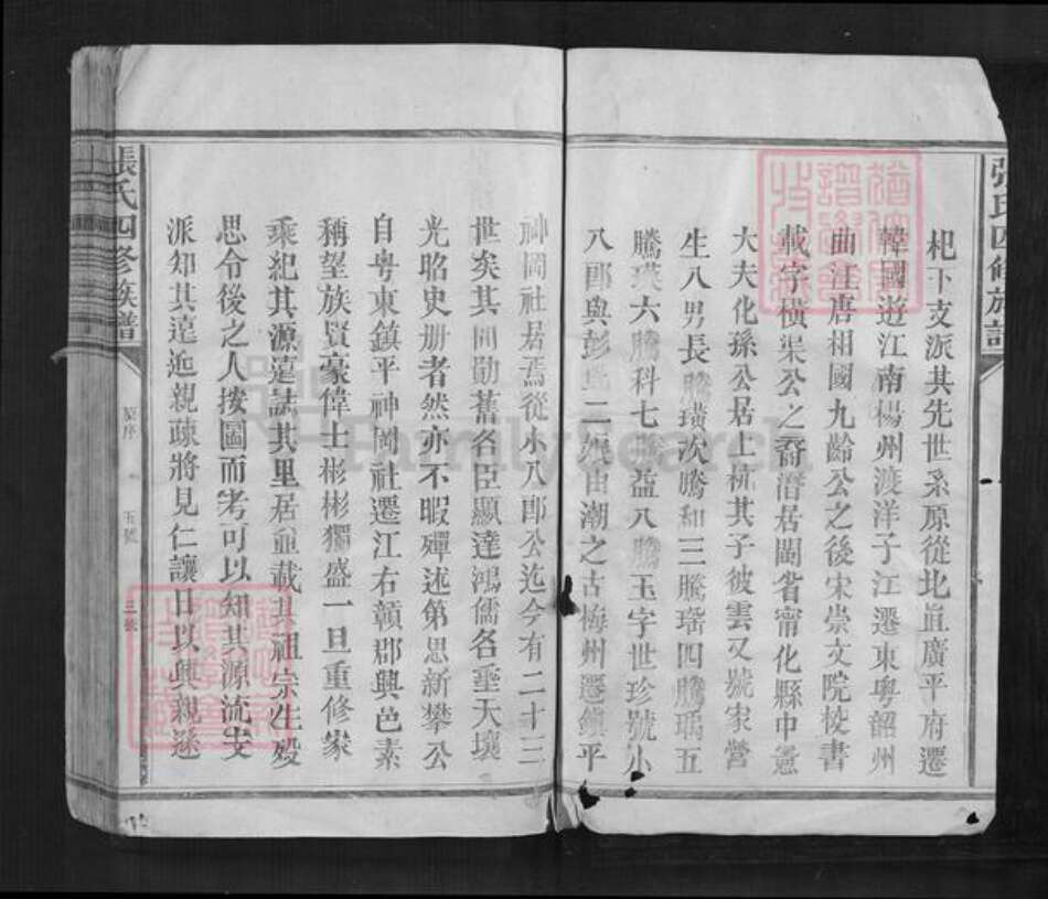 江西省抚州市南丰县江西省赣州市兴国县鼎龙乡张氏族谱-张氏四修族谱.pdf电子版预览图4