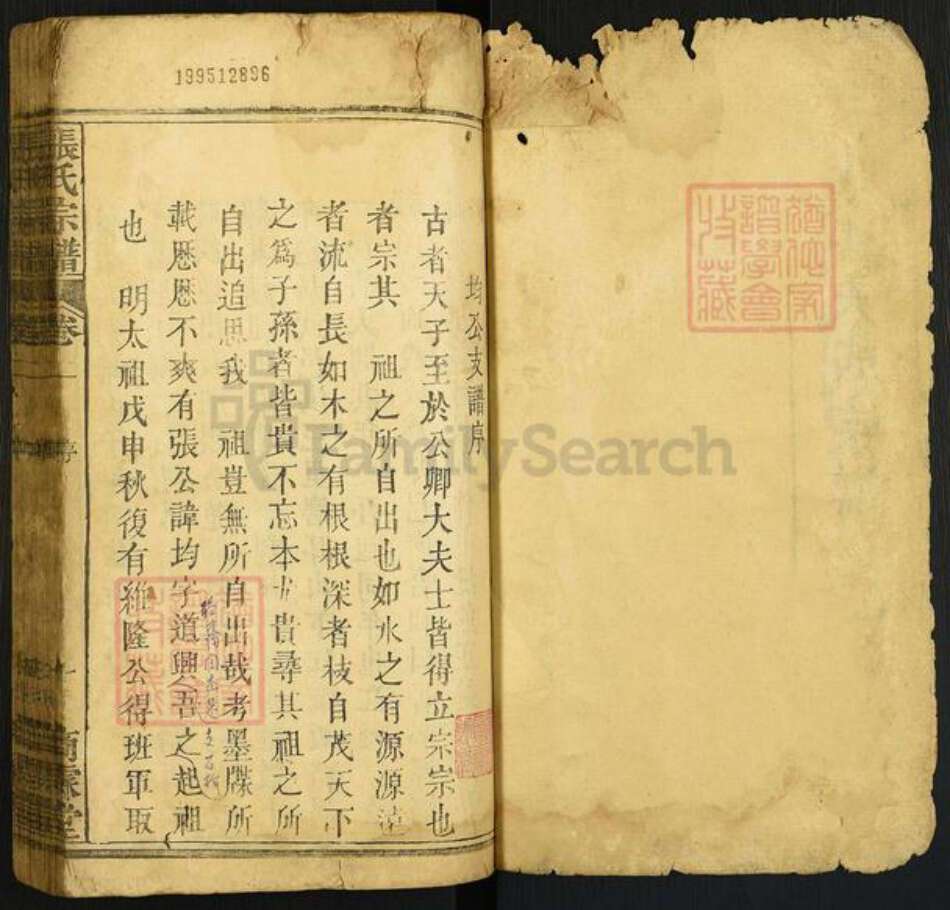 河北省邢台南宫市湖北省黄冈市浠水县张氏商霖堂族谱-清河张氏大成宗谱.pdf电子版预览图1