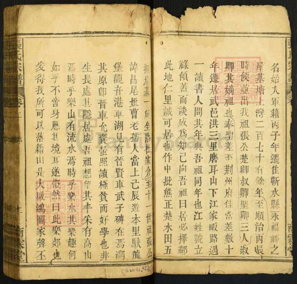 河北省邢台南宫市湖北省黄冈市浠水县张氏商霖堂族谱-清河张氏大成宗谱.pdf电子版预览图2