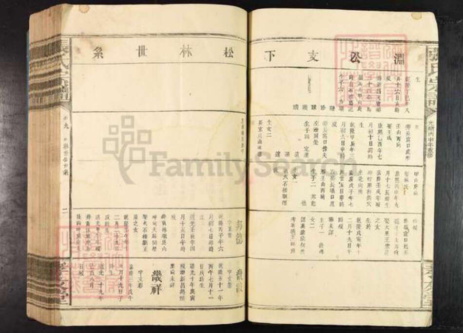 江西省江西省九江市修水县张氏孝友堂族谱-张氏宗谱.pdf电子版预览图2