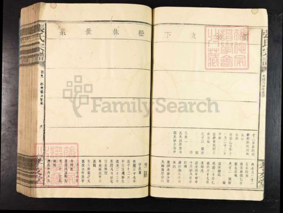 江西省江西省九江市修水县张氏孝友堂族谱-张氏宗谱.pdf电子版预览图5