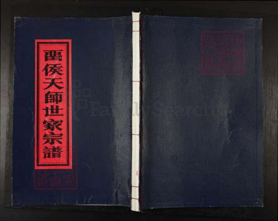江西省宜春市靖安县江西省鹰潭市贵溪市张氏族谱-留侯天师世家宗谱.pdf电子版缩略图