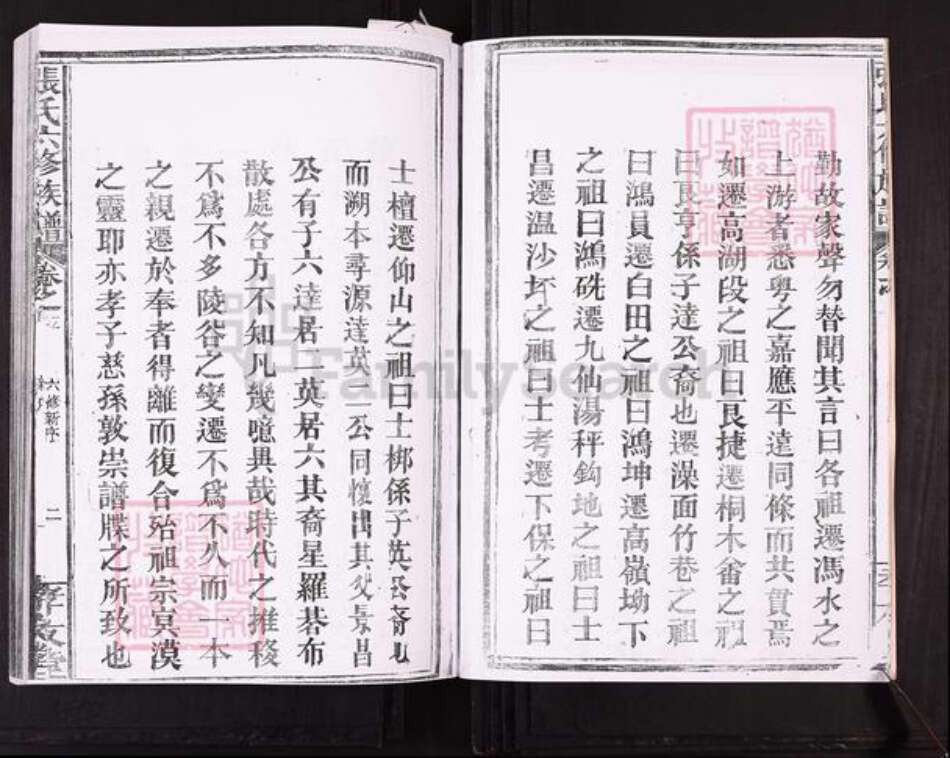 江西省南昌市新建区张氏孝友堂族谱-张氏六修族谱.pdf电子版预览图5