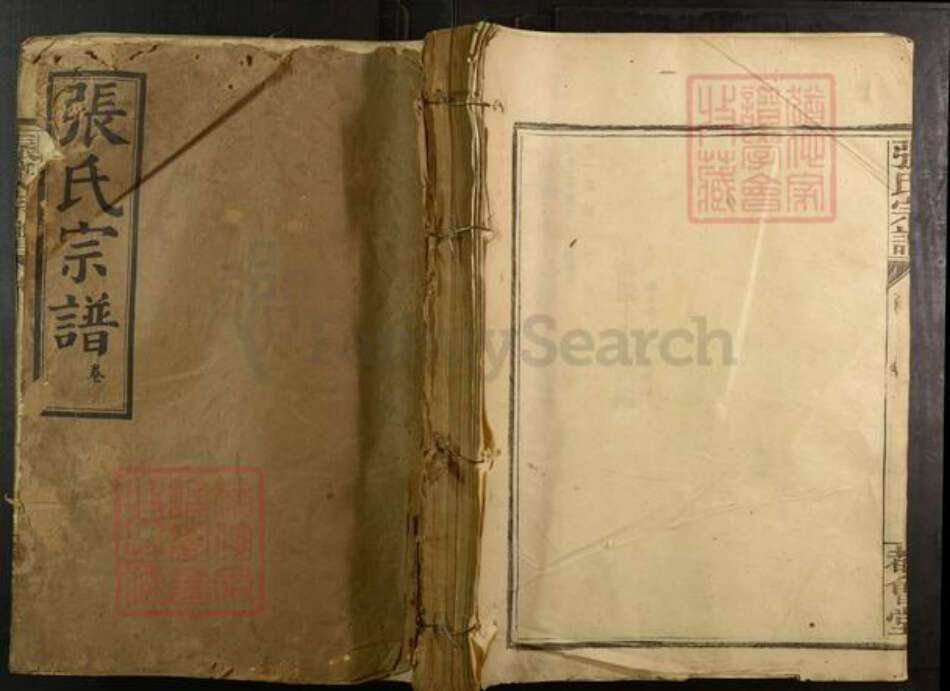 江西省赣州市宁都县湖北省武汉市蔡甸区张氏都会堂族谱-张氏宗谱.pdf电子版缩略图