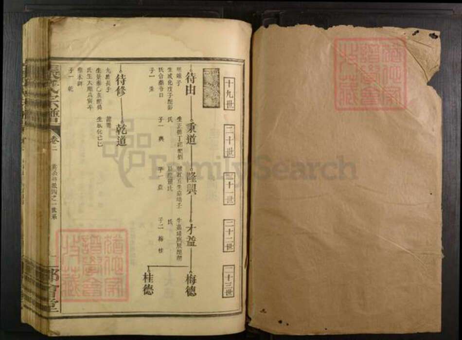 江西省赣州市宁都县湖北省武汉市蔡甸区张氏都会堂族谱-张氏宗谱.pdf电子版预览图1