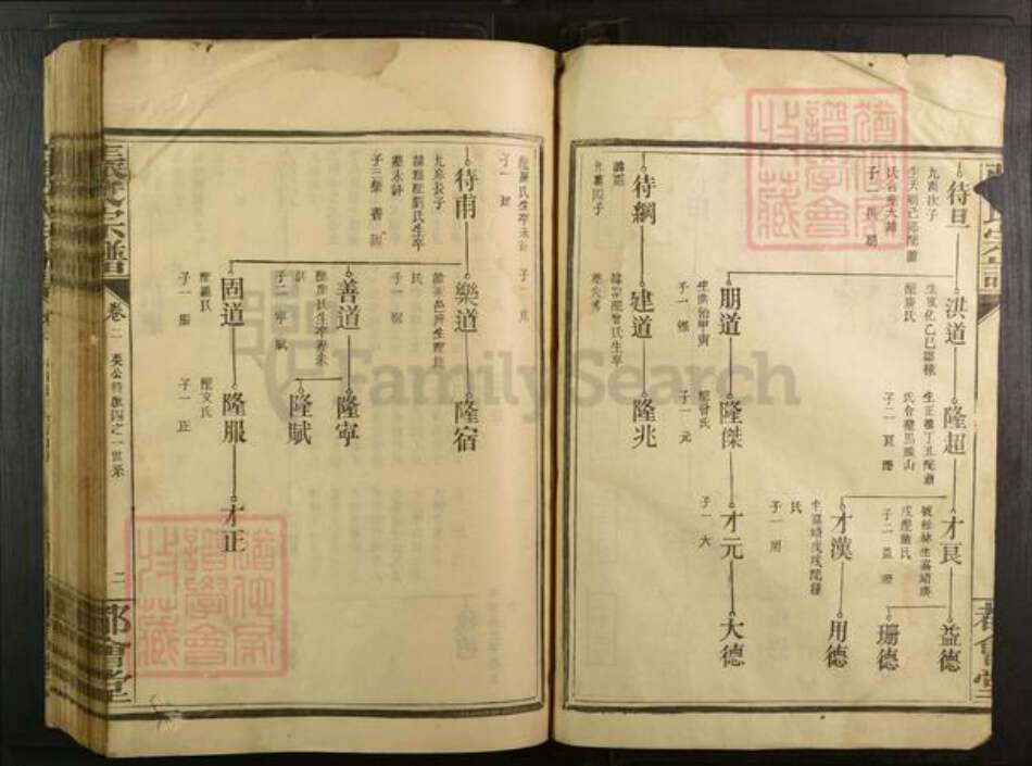 江西省赣州市宁都县湖北省武汉市蔡甸区张氏都会堂族谱-张氏宗谱.pdf电子版预览图2