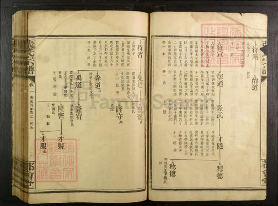 江西省赣州市宁都县湖北省武汉市蔡甸区张氏都会堂族谱-张氏宗谱.pdf电子版预览图3