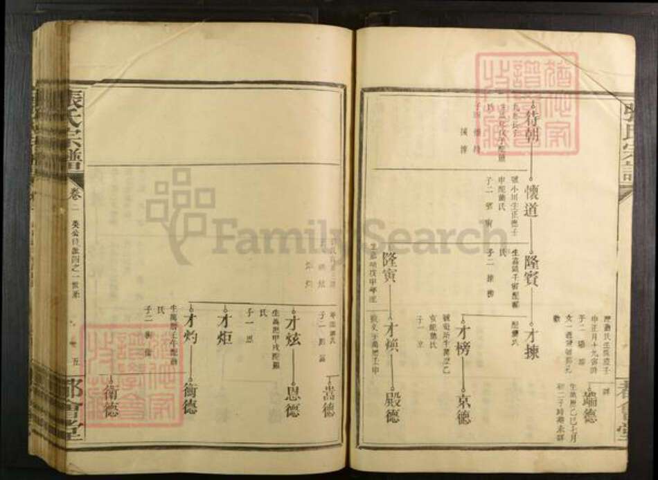 江西省赣州市宁都县湖北省武汉市蔡甸区张氏都会堂族谱-张氏宗谱.pdf电子版预览图5