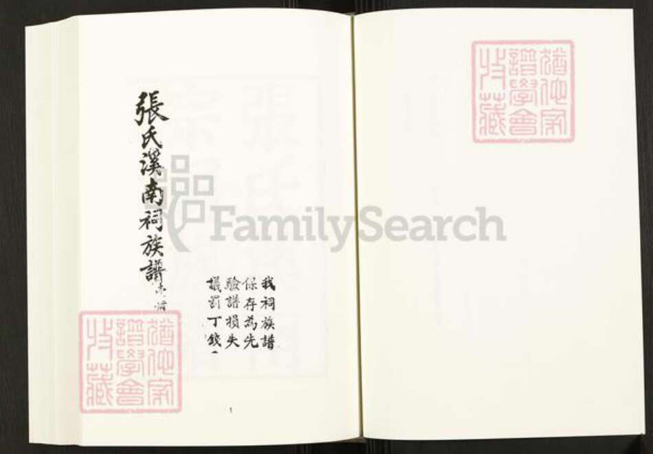 四川省四川省张氏族谱-中国珍稀家谱丛刊.四川家谱.第13~15册.张氏溪南祠族谱.pdf电子版预览图3