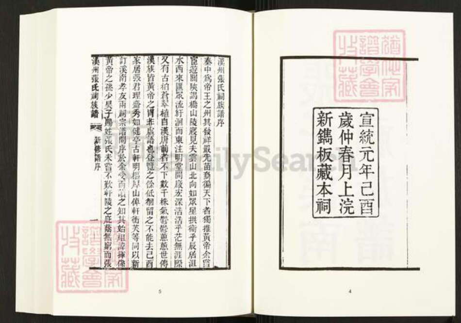 四川省四川省张氏族谱-中国珍稀家谱丛刊.四川家谱.第13~15册.张氏溪南祠族谱.pdf电子版预览图5