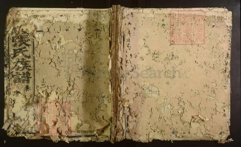 福建省三明市沙县张氏族谱-夏茂金鱼祠张氏族谱[不分卷].pdf电子版缩略图