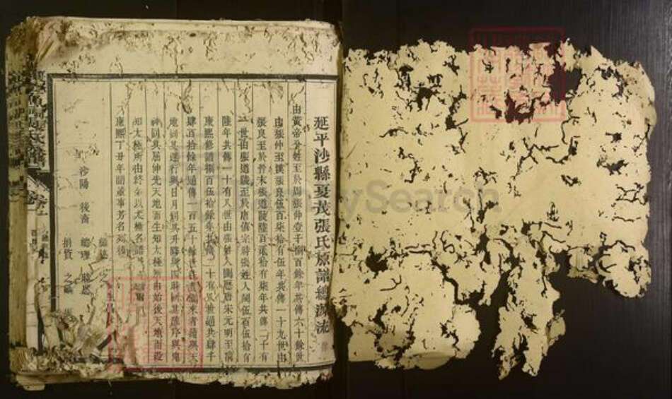 福建省三明市沙县张氏族谱-夏茂金鱼祠张氏族谱[不分卷].pdf电子版预览图1