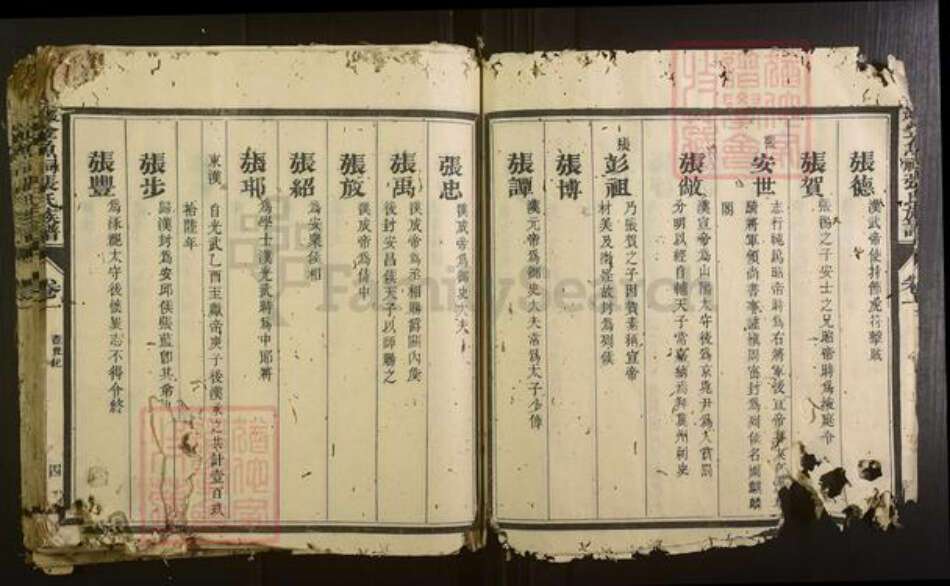 福建省三明市沙县张氏族谱-夏茂金鱼祠张氏族谱[不分卷].pdf电子版预览图5