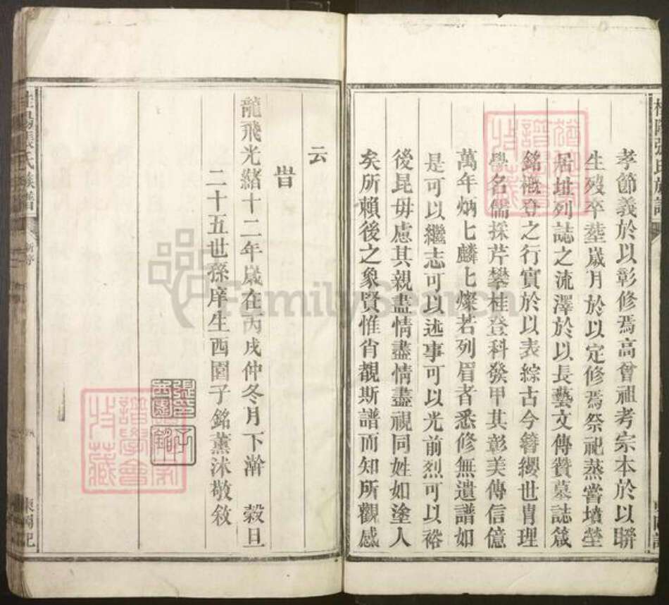 湖南省郴州市桂阳县张氏族谱-桂阳张氏族谱[3卷].pdf电子版预览图5