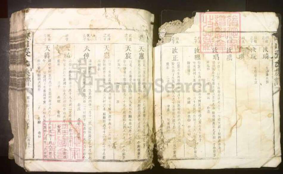 江西省吉安市峡江县张氏族谱-峡川张氏族谱[不分卷].pdf电子版预览图1