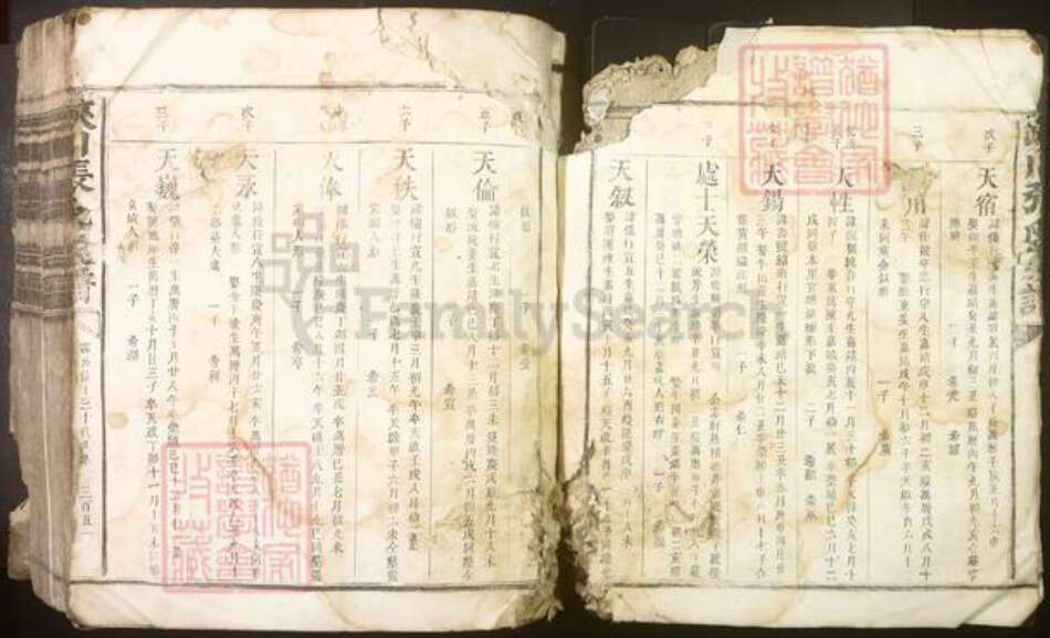 江西省吉安市峡江县张氏族谱-峡川张氏族谱[不分卷].pdf电子版预览图2