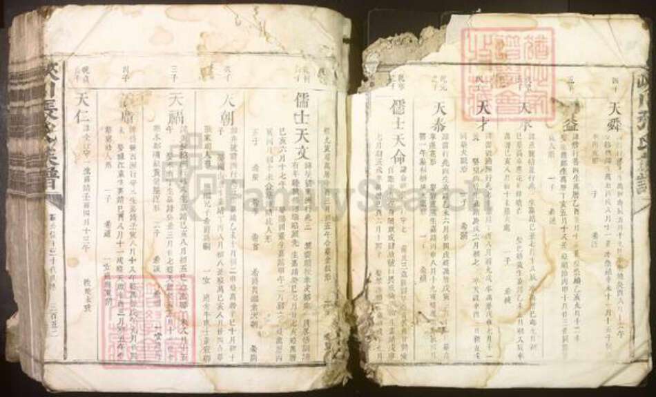 江西省吉安市峡江县张氏族谱-峡川张氏族谱[不分卷].pdf电子版预览图3