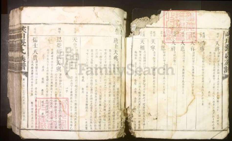 江西省吉安市峡江县张氏族谱-峡川张氏族谱[不分卷].pdf电子版预览图4