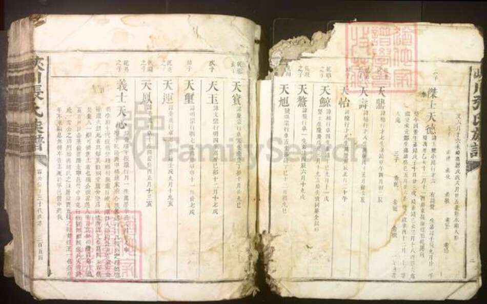 江西省吉安市峡江县张氏族谱-峡川张氏族谱[不分卷].pdf电子版预览图5