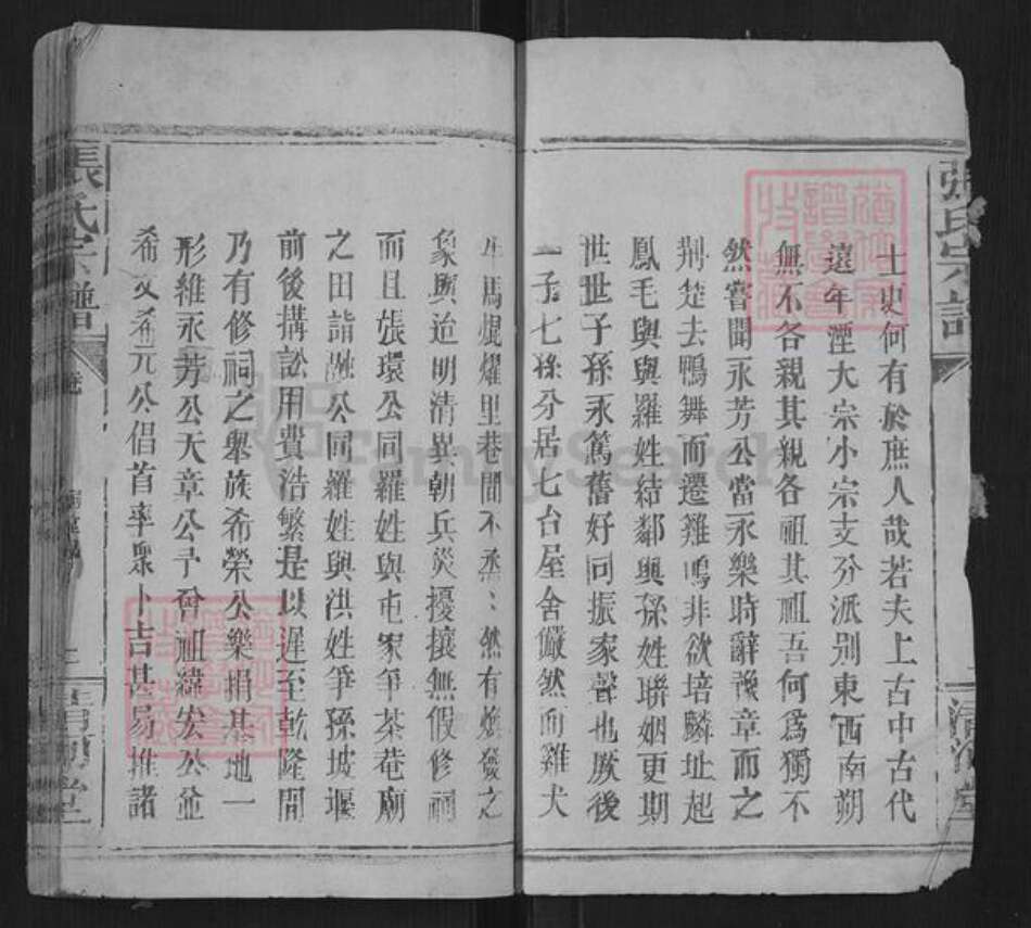 湖北省孝感市汉川市张氏族谱-张氏宗谱.pdf电子版预览图2