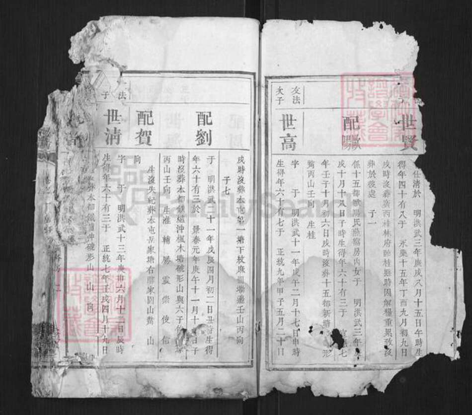 湖南省湘潭市张氏族谱-张氏续修族谱.pdf电子版预览图1