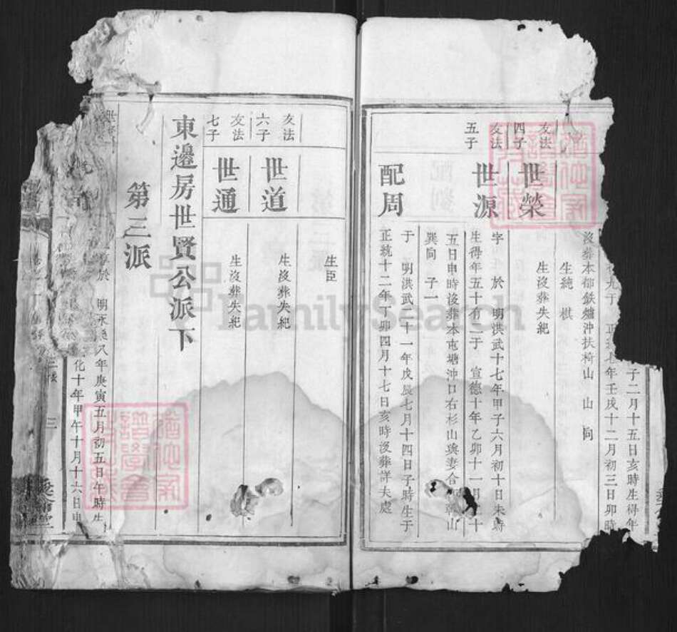 湖南省湘潭市张氏族谱-张氏续修族谱.pdf电子版预览图2