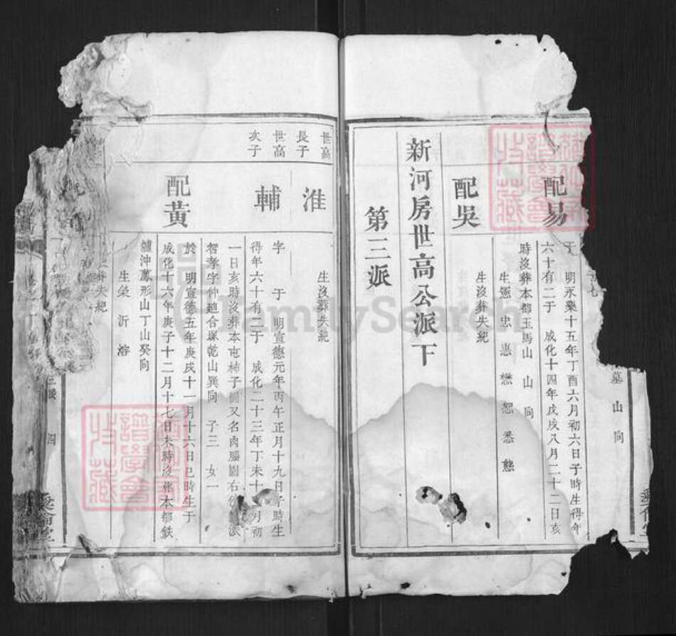 湖南省湘潭市张氏族谱-张氏续修族谱.pdf电子版预览图3