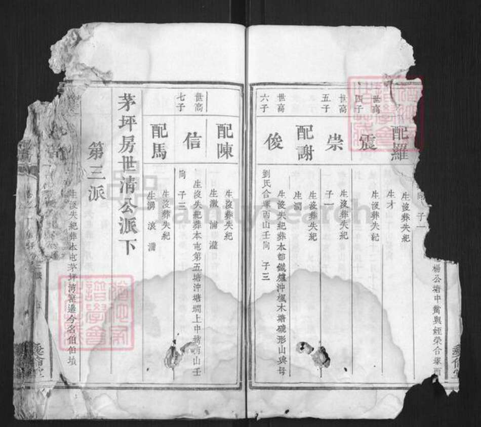 湖南省湘潭市张氏族谱-张氏续修族谱.pdf电子版预览图4